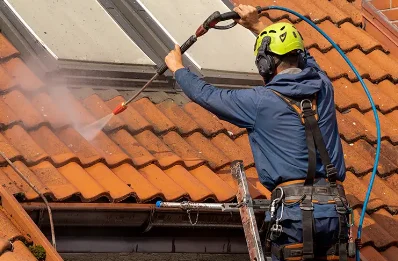 Démoussage et hydrofuge de toiture à Perchède